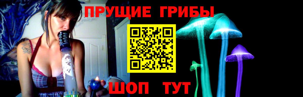 Тельмана  Псилоцибиновые грибы мицелий  Псилоцибиновые грибы мицелий  Вход с VPN 